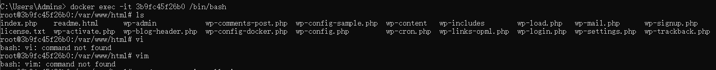 image-20231013001701826