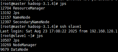 image-20250823173221418
