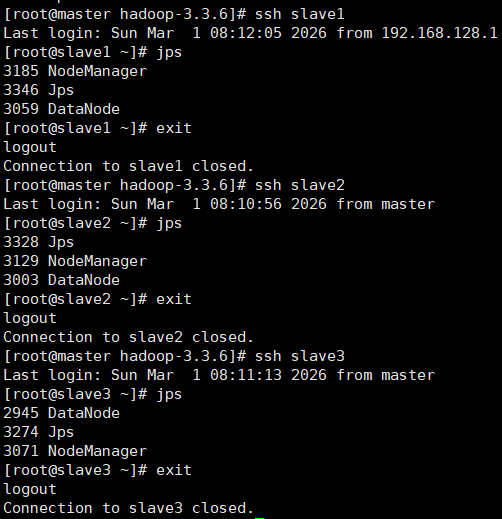 image-20260301003516256
