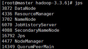 image-20260301025834151
