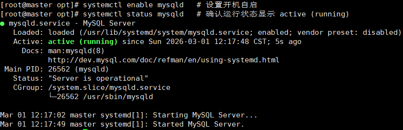 image-20260301041812072
