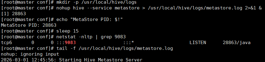 image-20260301044647599