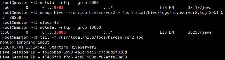 image-20260301052750906